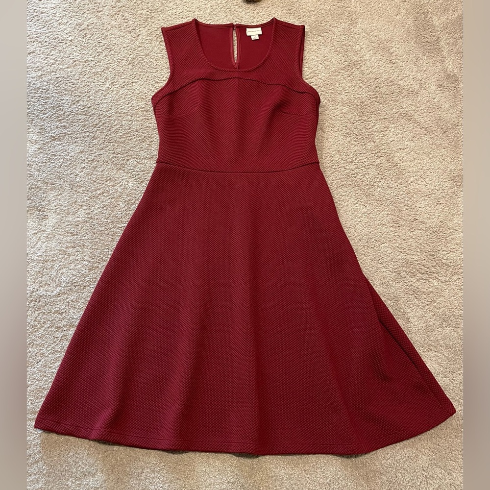 Merona Fit and Flare Dress
